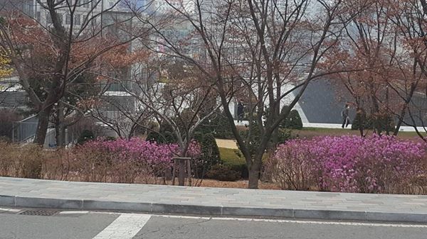 코로나에 빼앗긴 교정에도 봄은 오는가?