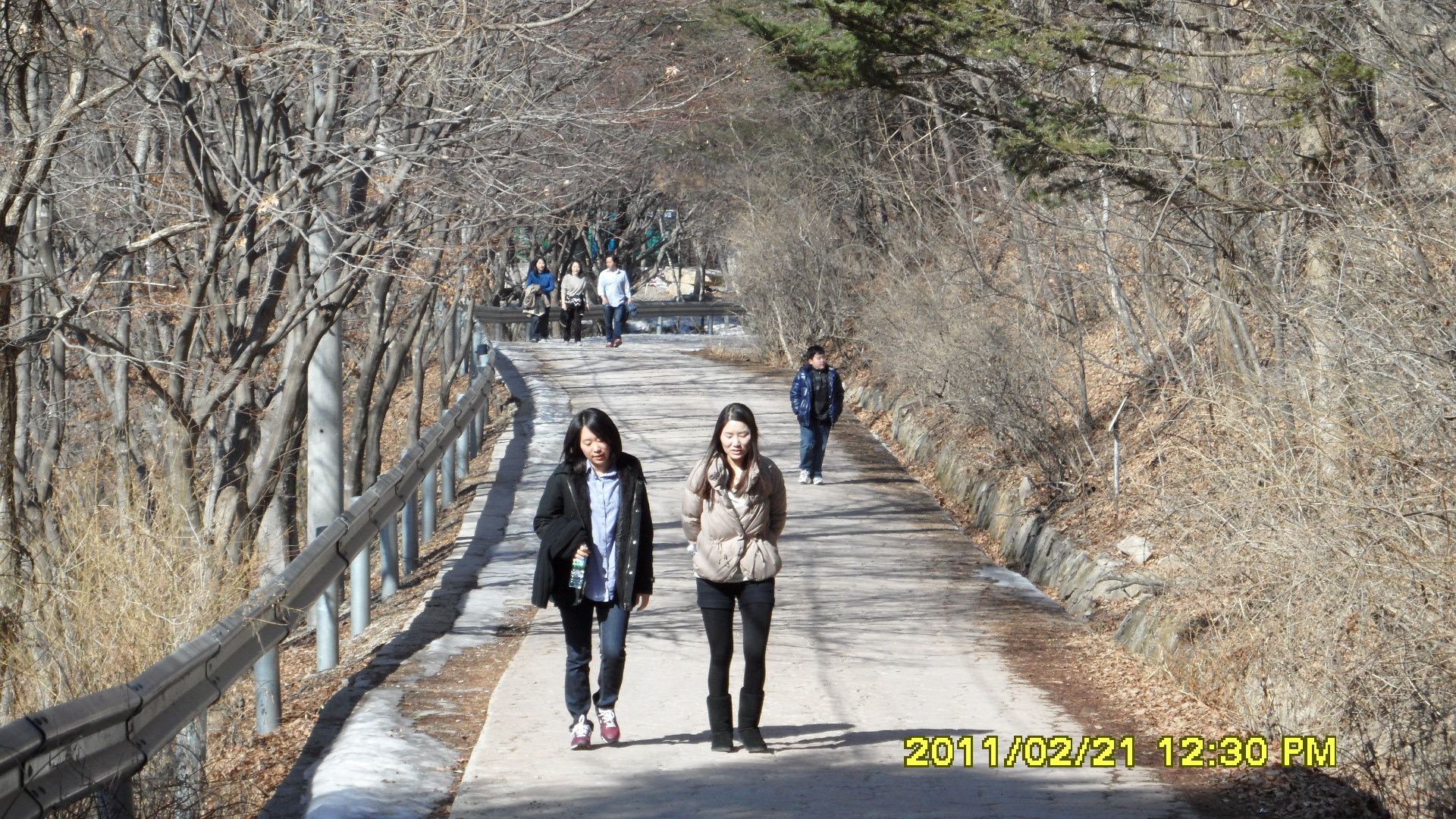 봄을 기다리는 산책